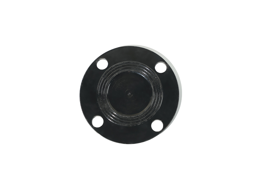 Flange cego