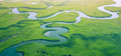 Revolucionando a irrigação agrícola: o papel dos tubos e conexões de PVC